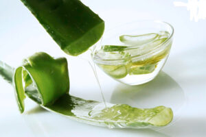 Nha đam là một trong những nguyên liệu tự nhiên giúp điều trị rụng tóc hiệu quả 