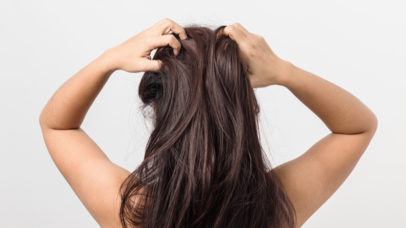 Massage da đầu đều đặn giúp tăng cường tuần hoàn máu đến nang tóc